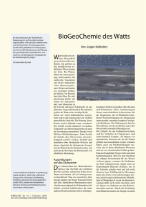 BioGeoChemie des Watts