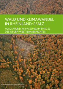 Wald und Klimawandel in Rheinland-Pfalz