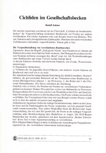 Weiterlesen - Deutsche Cichliden | Gesellschaft eV