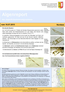 Algenreport Nordsee (Stand: 16.07.2015) (PDF 244KB, Datei ist