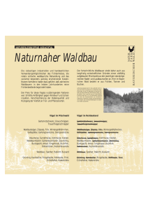 Naturnaher Waldbau - Naturpark Bayerischer Wald