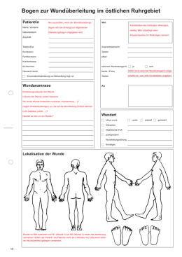 Wunddokumentation Anamnesebogen
