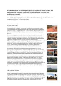 Projekt: Strategien zur Nutzung der Ressource Regenwald in den