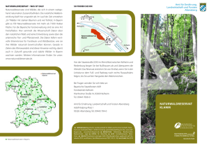 Naturwaldreservat Klamm - Bayerische Staatsforsten