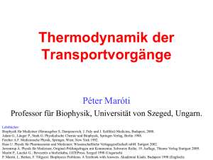 Thermodynamik der Transportvorgänge