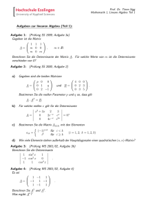 Aufgaben zur linearen Algebra (Teil 1): Aufgabe 1: (Prüfung SS