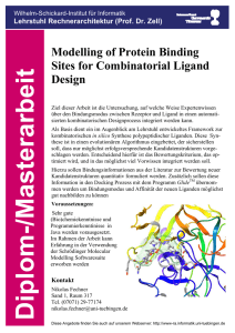 Modeling of Protein Binding Sites for Combintorial Ligand Design