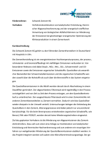 Kurzbeschreibung Schwenk Zement KG PDF