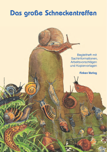 Musterseiten - Finken Verlag