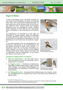 Nummer 11/2013: Vögel im Winter PDF-Datei, 240,13