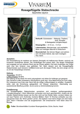 Staubläuse - Hauptmann GmbH