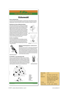 Eichenwald - carabus Naturschutzbüro