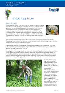 SK-Tag 2014 Essbare Wildpflanzen - Kneipp-Bund
