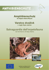 Seiten 1 - 14 - Amphibienschutz an Straßen