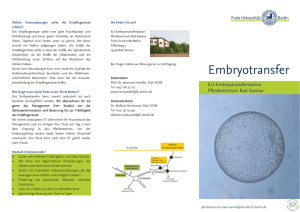 Embryotransfer - Freie Universität Berlin