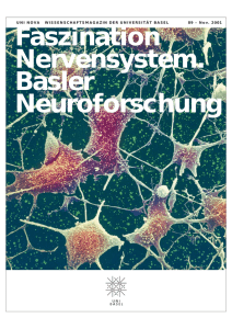 Faszination Nervensystem. Basler Neuroforschung