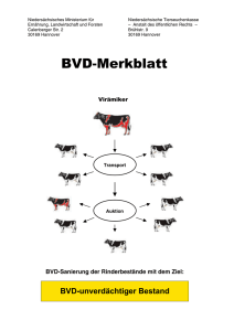 Merkblatt BVD