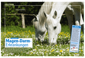 Mein Pferd„, Ausgabe März / 2010 Magen-Darm