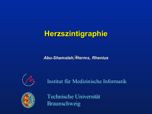 PDF bildschrimoptimiert 0.2MB - Technische Universität Braunschweig