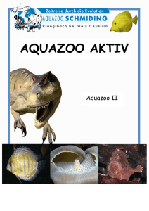 aquazoo aktiv - Zoo Schmiding