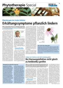 Phytotherapie Special Erkältungssymptome pflanzlich lindern