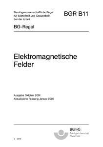BGR B11 "Elektromagnetische Felder"