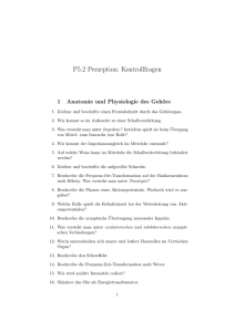 P5.2 Perzeption: Kontrollfragen