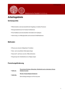 Medizinische Fakultät Heidelberg: Arbeitsgebiete