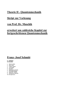 QM- Muschik - Franz-Josef Schmitt – und mein Blog