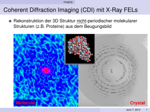 Coherent Diffraction Imaging (CDI) mit X-Ray FELs