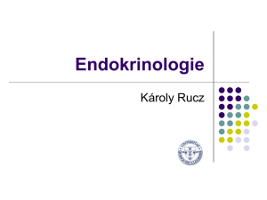 Endokrinologie 2.