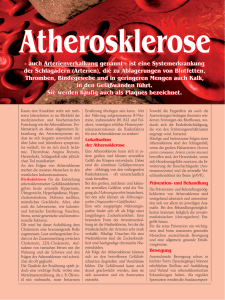PPG_4_09_ Atherosklerose:NEU-15.qxd.qxd
