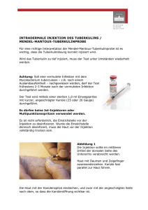 intradermale injektion des tuberkulins / mendel