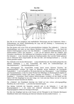 ICH BIN GANZ OHR Anatomie des Gehörorgans Unser Hörorgan