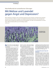 Mit Melisse und Lavendel gegen Angst und Depression?