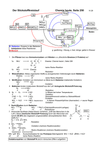 Der Stickstoffkreislauf Chemie heute, Seite 258