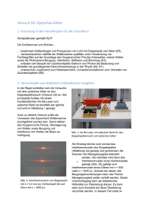 Optisches Gitter - Schulentwicklung NRW