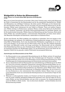 Grüne Waldpolitik - Bündnis 90/Die Grünen Bundestagsfraktion
