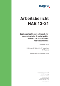 Arbeitsbericht NAB 13-31