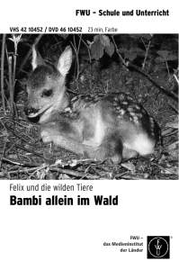 Bambi allein im Wald