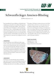 Schwarzfleckiger Ameisen-Bläuling - Land Baden