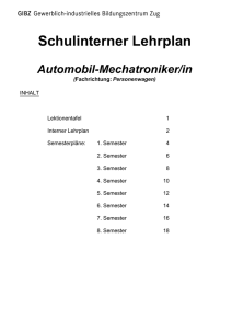 Lehrplan Automechatroniker/in EFZ