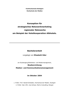 Konzeption für strategisches Netzwerkmarketing regionaler