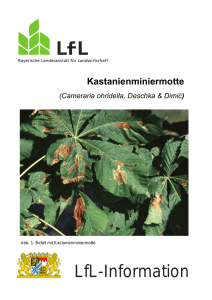 Die Publikation als PDF 725 KB - Bayerische Landesanstalt für