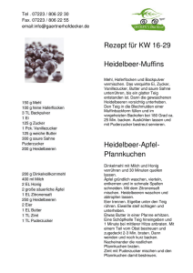 Rezept KW 16-29 Heidelbeer-Muffins und Heidelbeer-Apfel