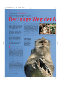 Der lange Weg der A - Deutscher Tierschutzbund