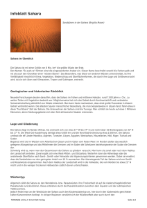 Infoblatt Sahara
