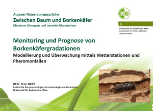Monitoring und Prognose von Borkenkäfergradationen