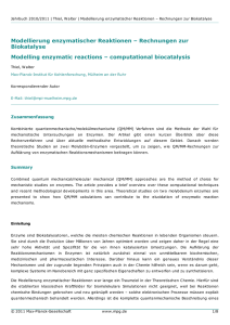 Modellierung enzymatischer Reaktionen – Rechnungen zur