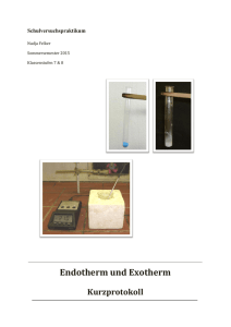 Endotherm und Exotherm - Unterrichtsmaterialien Chemie